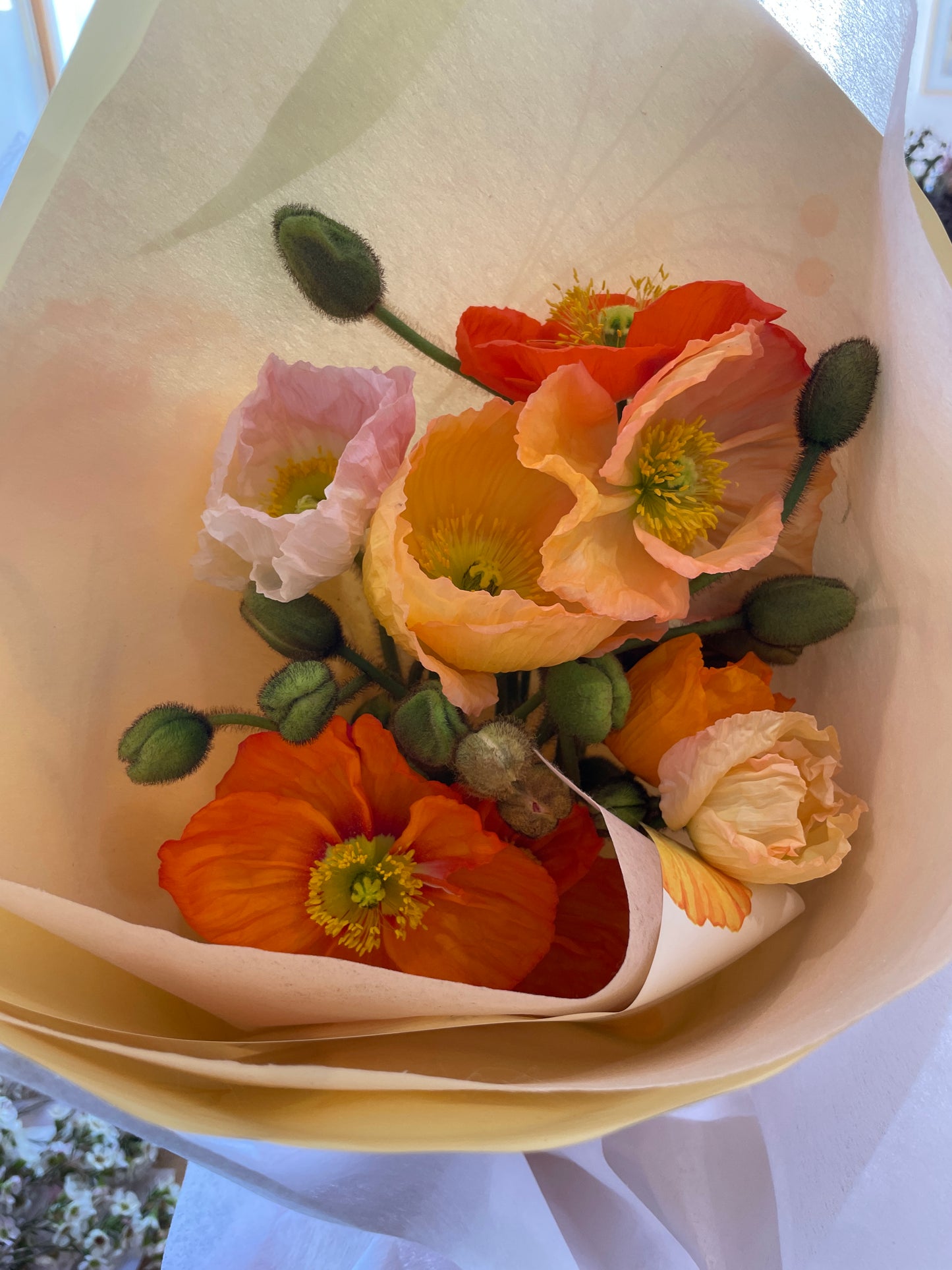Flowers by Fleur my Darling..The First pick