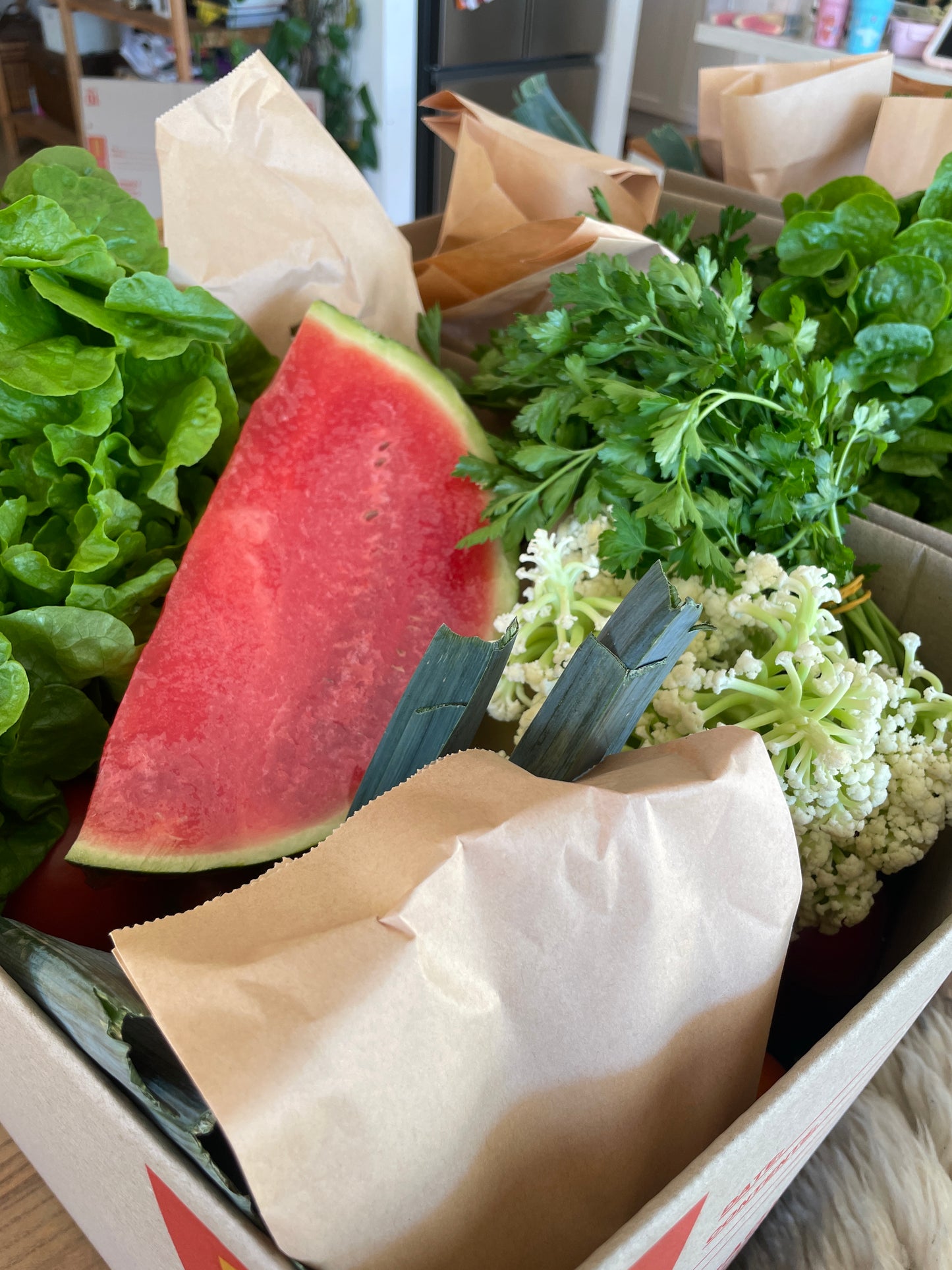 Family seasonal fruit and veg box